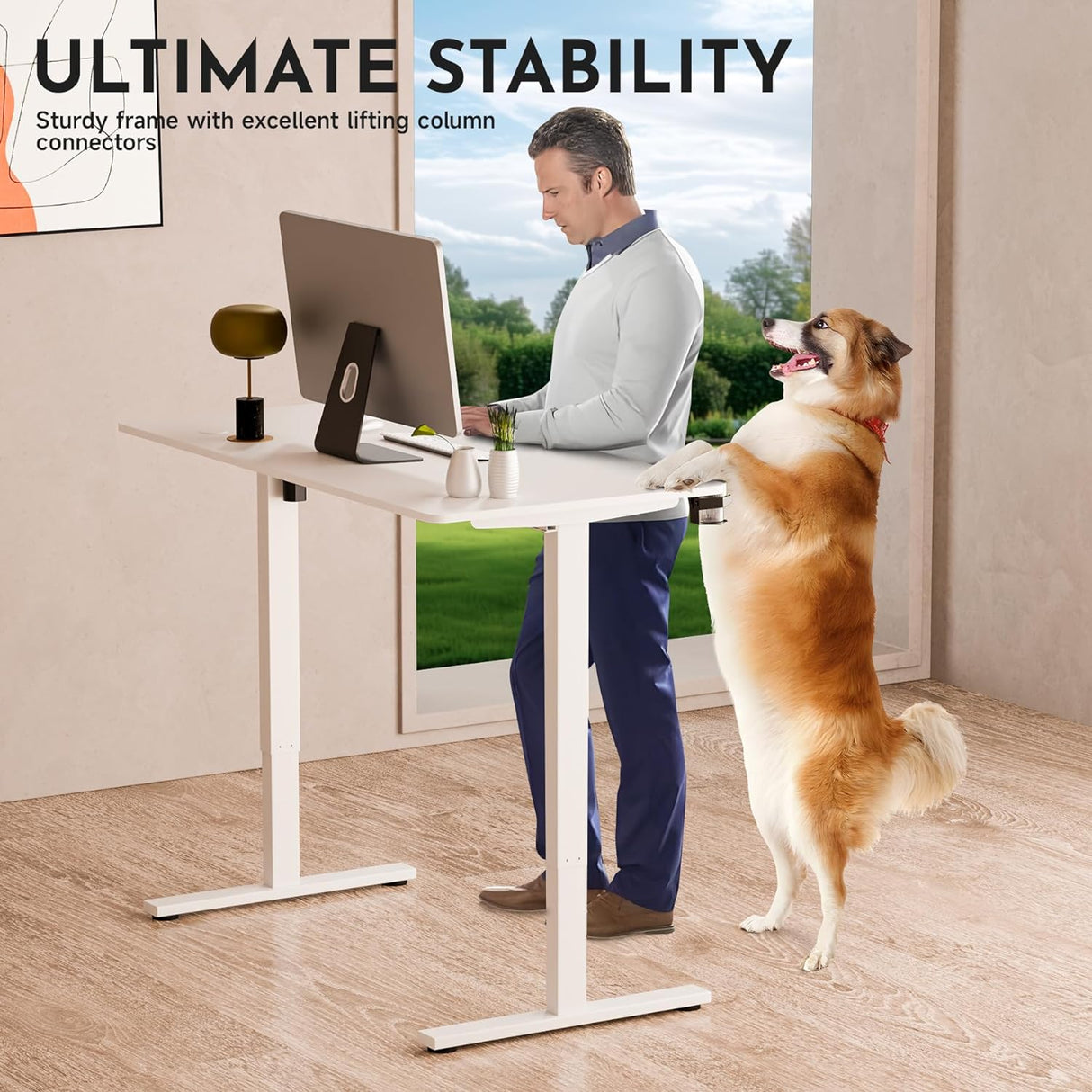 Ergonomic Standing Desk Adjustable Height 71cm to 116 cm Electric Sit-Stand Lift Computer Desk,Memory Modern Lift Electric Gaming Desktop Work Standing Desk for Home, Office, Gamingļ¼Whiteļ¼