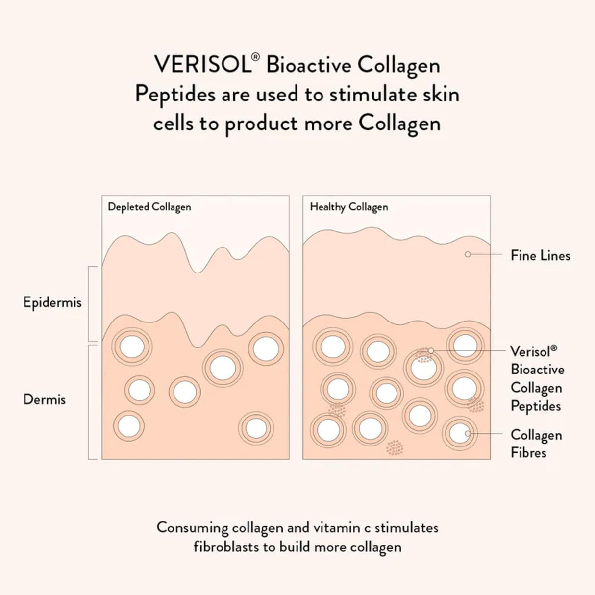 Nutra Organics Collagen Beauty Vanilla 225g | Low Sugar, Non-Dairy, Drink Mix w/Vitamin C | Collagen Powder that Supports Skin Elasticity & Hydration, Healthy Hair, Nails, & Gut Wellbeing (18 Serves)