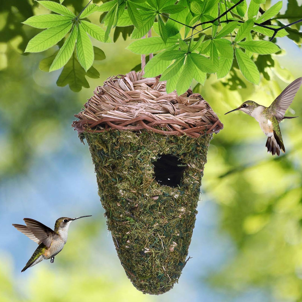 Natural Hummingbird Nest, Grass Bird House, Breathable Handwoven Protection, Hummingbird Sleeping Bags, Dangling Bird Houses for Branches, Tree