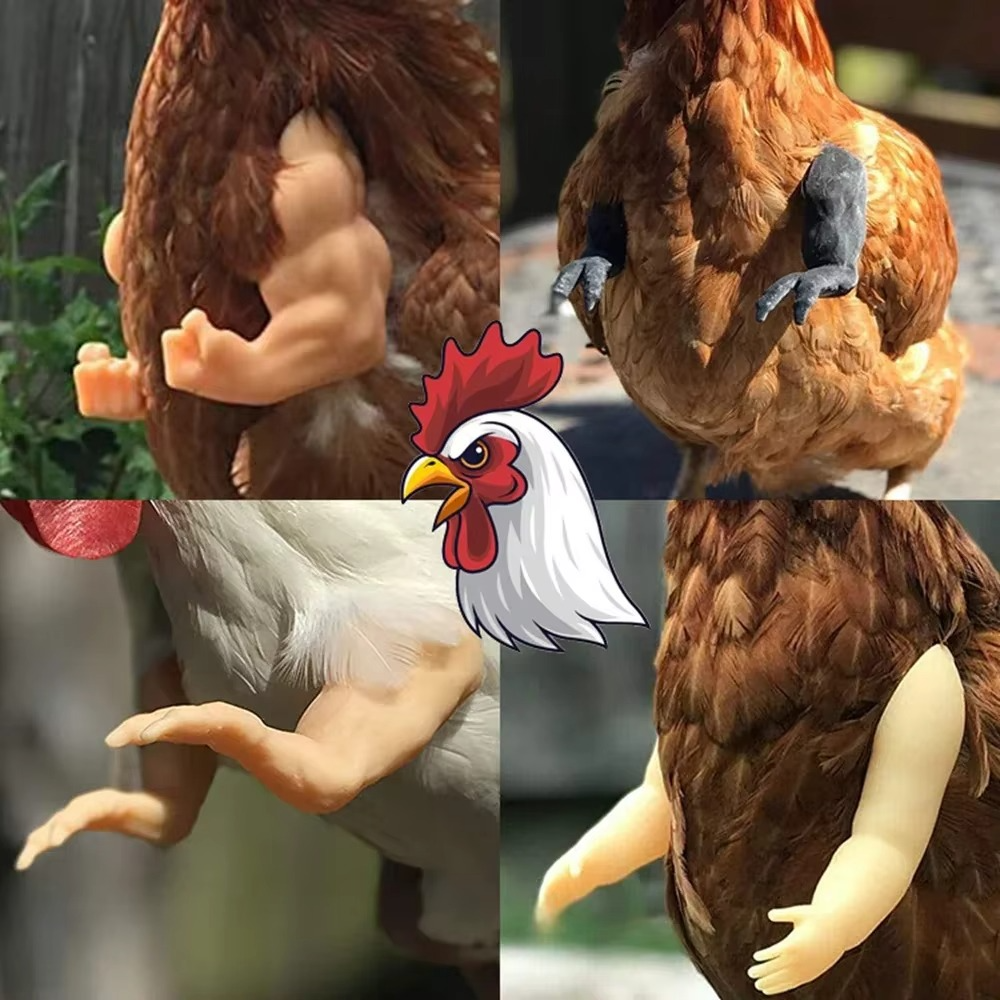 Funny Fighting Chicken Arms