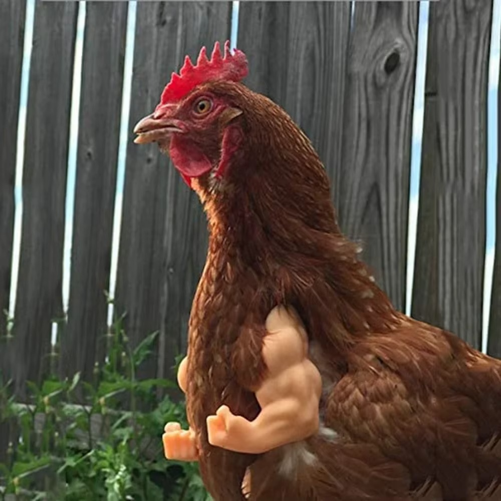 Funny Fighting Chicken Arms