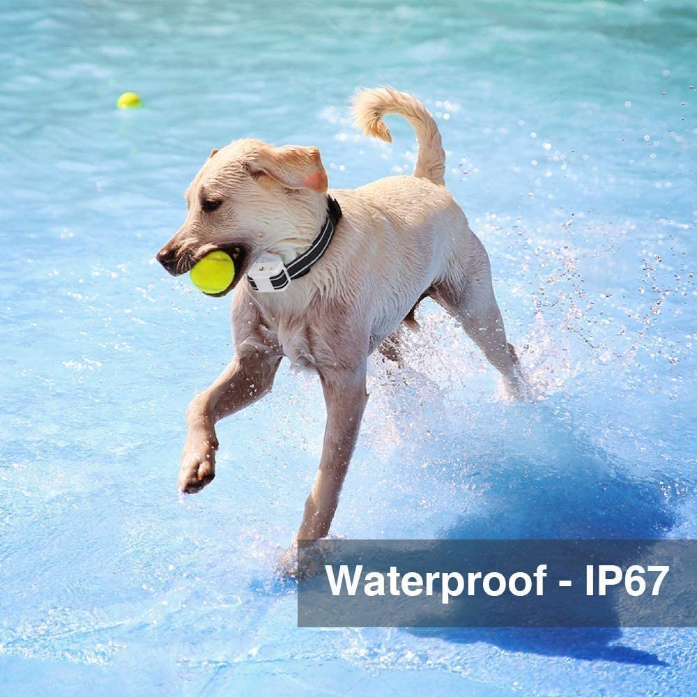 Citronella Bark Collar, Auto Citronella Dog Bark Collar Spray Anti Dog Bark Collars with 2 Adjustable Spray Level, Citronella Dog Barking Training Collar No Shock Safty for Dogs