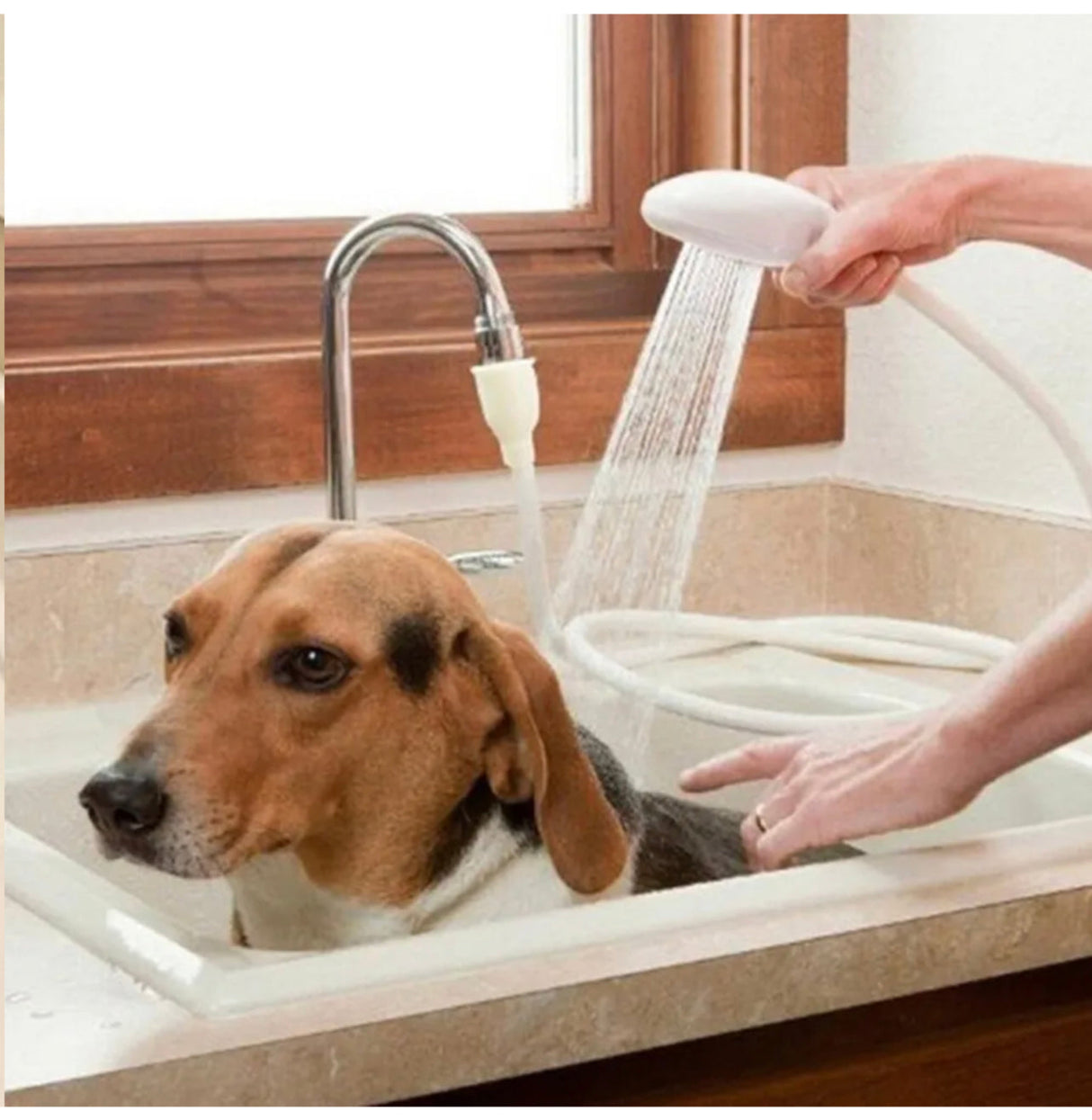 Pet Shower Spray Hose Attachment Head Single Tap Sink Bath Washing Holder Dog
