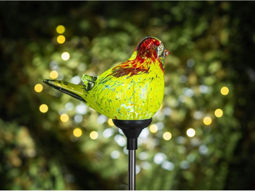 Outdoor Garden Solar Lights