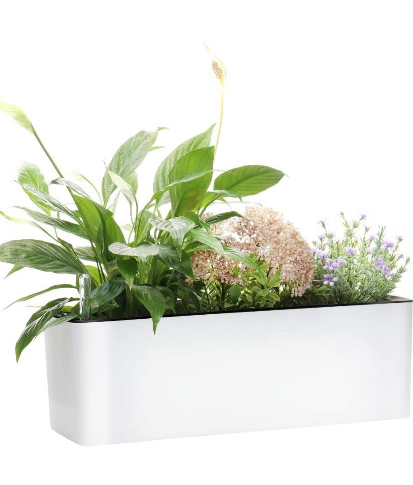 Rectangle Self Watering Planter Pots Window Box 40 cm Indoor Home Garden Modern Decorative Planter Pot for All House Plants Flowers Herbs (1, White(14x40 cm))