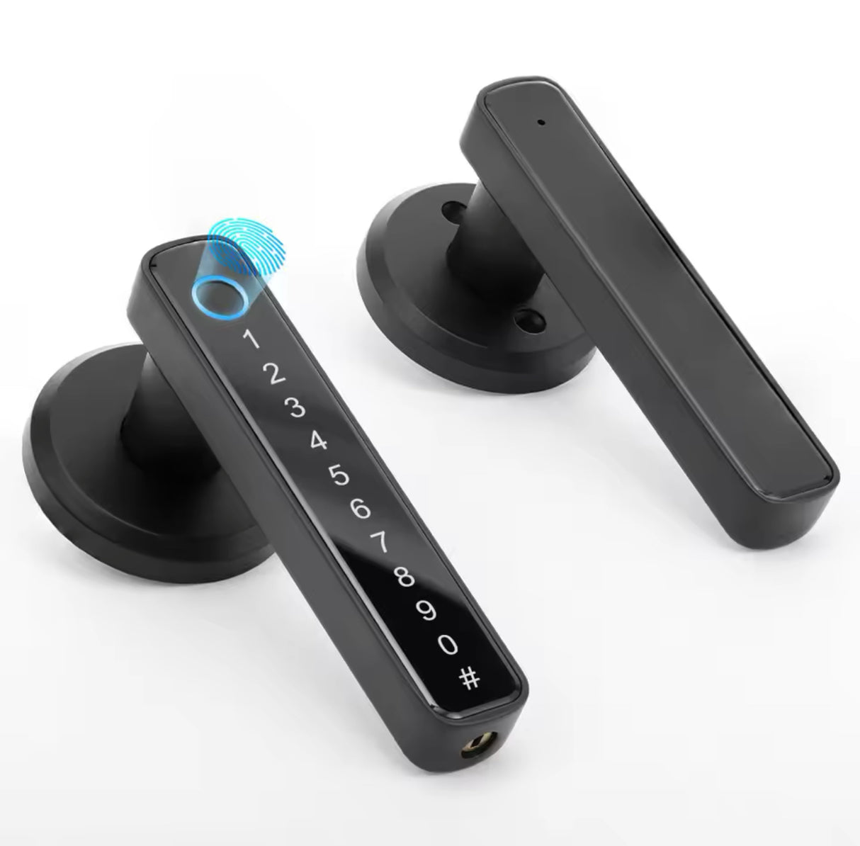 Fingerprint Door Lock/Smart Door knob/Biometric Door Lock with passcode keypad /APP Remote Control/Entry Door Handle