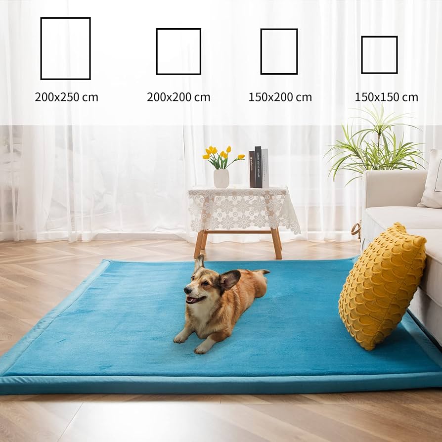 Coral Velvet Area Rug, 3cm Thick Non-Slip Fluffy Short Pile Crawling Rug, Modern Washable Soft Rug for Boys or Girls Children's Room, Living Room (Bluestone, 150×200cm)