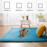 Coral Velvet Area Rug, 3cm Thick Non-Slip Fluffy Short Pile Crawling Rug, Modern Washable Soft Rug for Boys or Girls Children's Room, Living Room (Bluestone, 150×200cm)