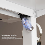 UMOMO 120 x 60cm Electric Standing Desk, Height Adjustable Sit Stand Desk with Splice Board, Workstation Computer Desk with Cable Management for Home Office (White Top White Frame)