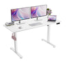ERGOMAKER Electric Standing Desk 80x60cm (31"x23.6"), Height Adjustable Sit Stand Desk with Splice Board for Home Office, Computer Desk Memory Preset (White Frame + White Desktop)