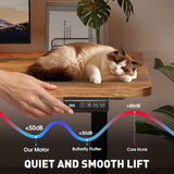 Electric Standing Desk 140x60cm (55.1"x23.6"), Height Adjustable Sit Stand Desk with Hooks, Metal Frame Stand up Desk with Powerful Motor, Ergonomic Computer Desk for Home Office (Brown)