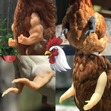 Funny Fighting Chicken Arms