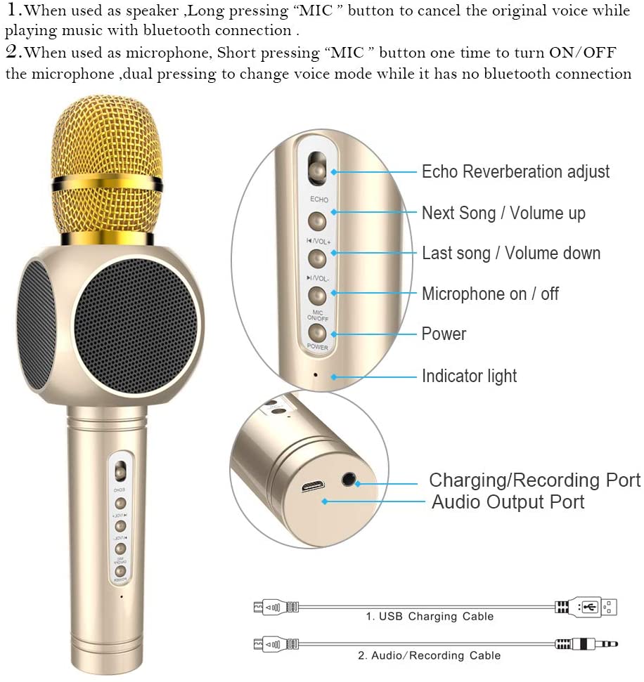 Karaoke Microphone
