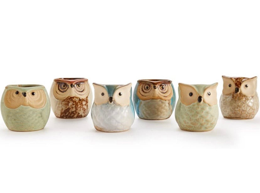 6 in Set 2.5 inch Owl Pot Ceramic Flowing Glaze Base Serial Set Succulent Plant Pot Cactus Plant Pot Flower Pot Container Planter Bonsai Pots with A Hole Perfect Gife Idea