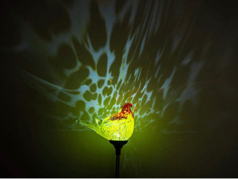 Outdoor Garden Solar Lights