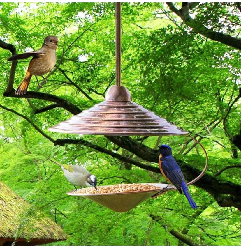 Outdoor Hanging Wild Bird Feeder