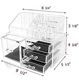 Seashell Acrylic Cosmetic Organizer Makeup Storage Case