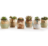 6 in Set 2.5 inch Owl Pot Ceramic Flowing Glaze Base Serial Set Succulent Plant Pot Cactus Plant Pot Flower Pot Container Planter Bonsai Pots with A Hole Perfect Gife Idea