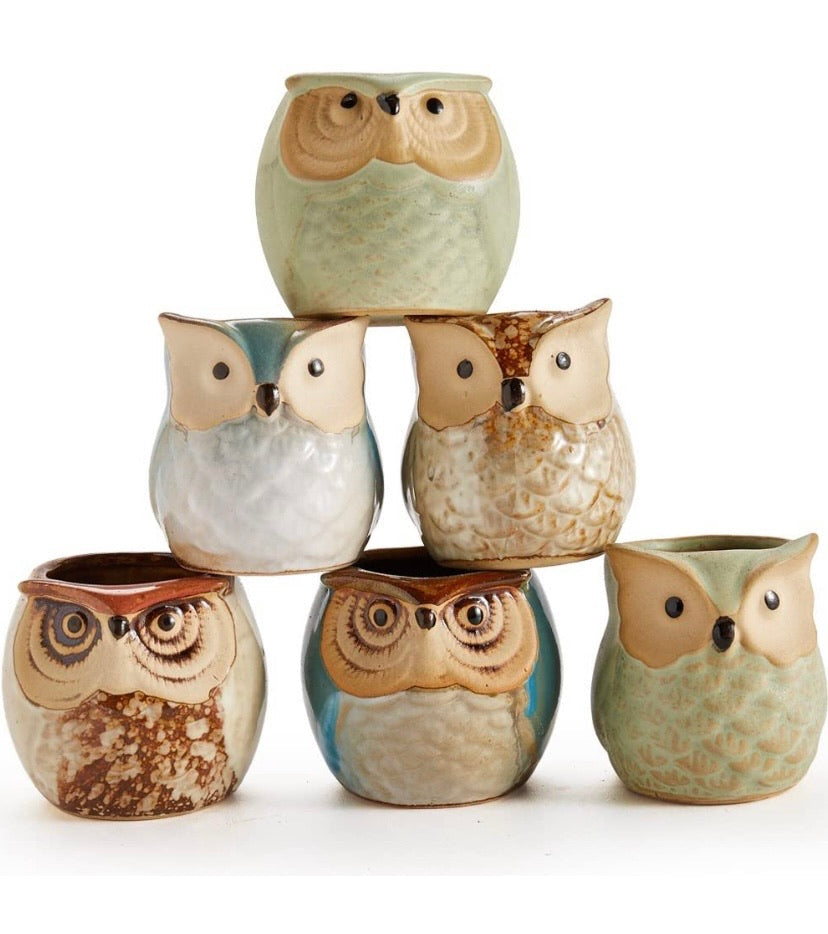 6 in Set 2.5 inch Owl Pot Ceramic Flowing Glaze Base Serial Set Succulent Plant Pot Cactus Plant Pot Flower Pot Container Planter Bonsai Pots with A Hole Perfect Gife Idea