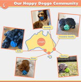 Dog Food Treat Interactive Puzzle Ball